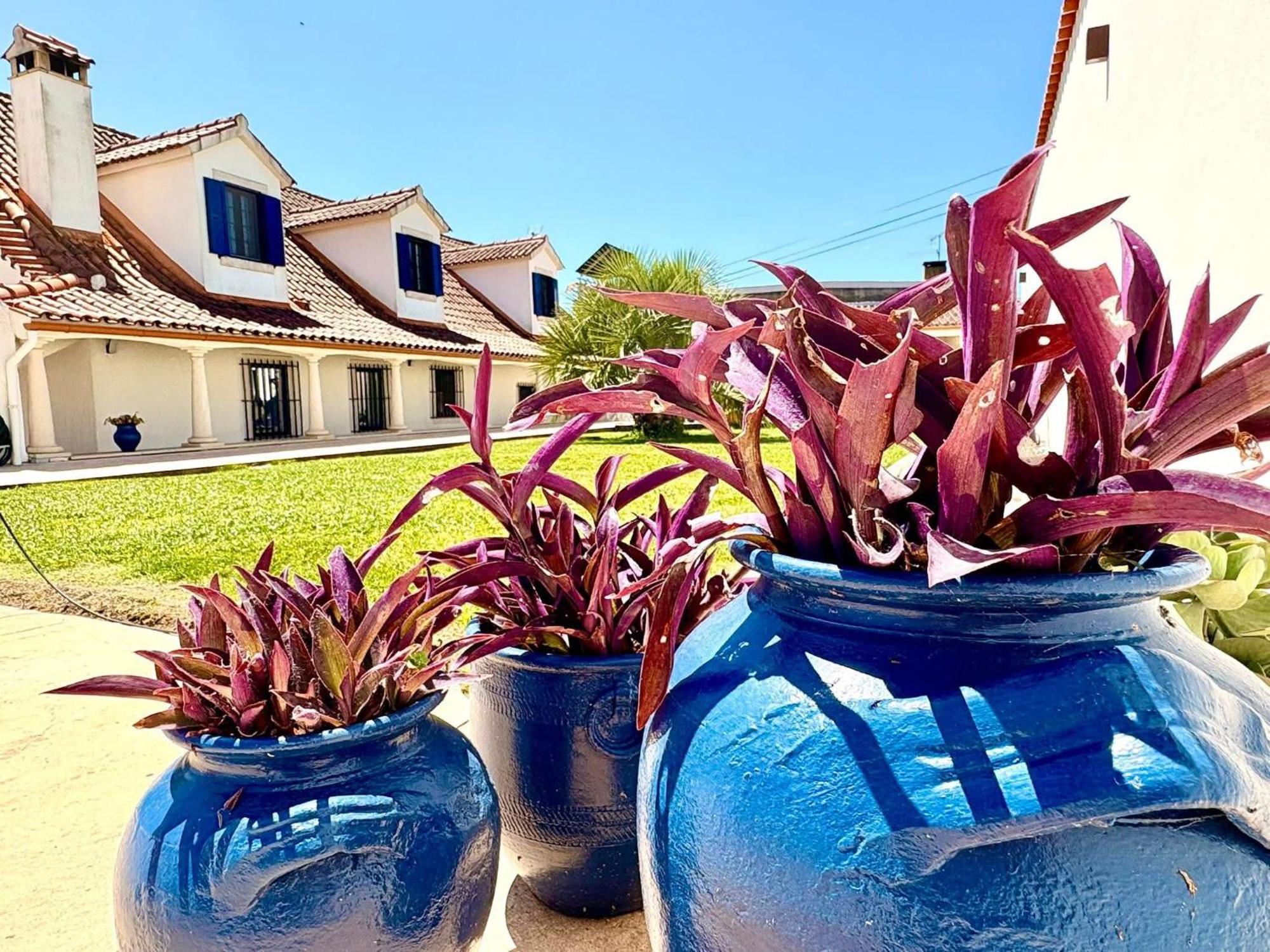 Casal Dos Frades Bed & Breakfast Fontainhas  ภายนอก รูปภาพ
